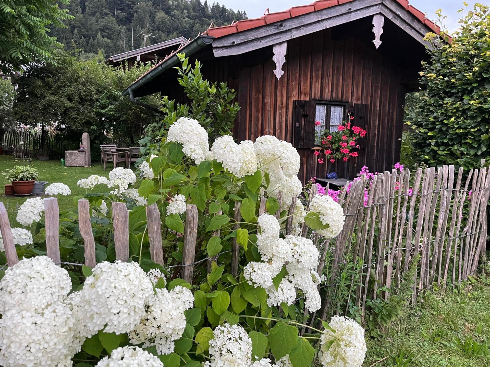 Ferienwohnung Sachrang * Sachrang